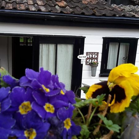 Bed and Breakfast Rose Farm Honiton Exteriér fotografie