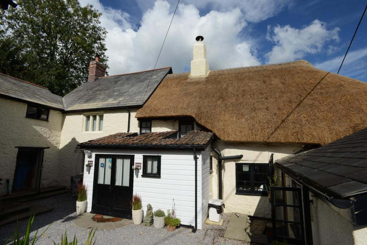 Bed and Breakfast Rose Farm Honiton Exteriér fotografie