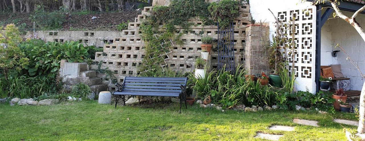 Bed and Breakfast Rose Farm Honiton Exteriér fotografie