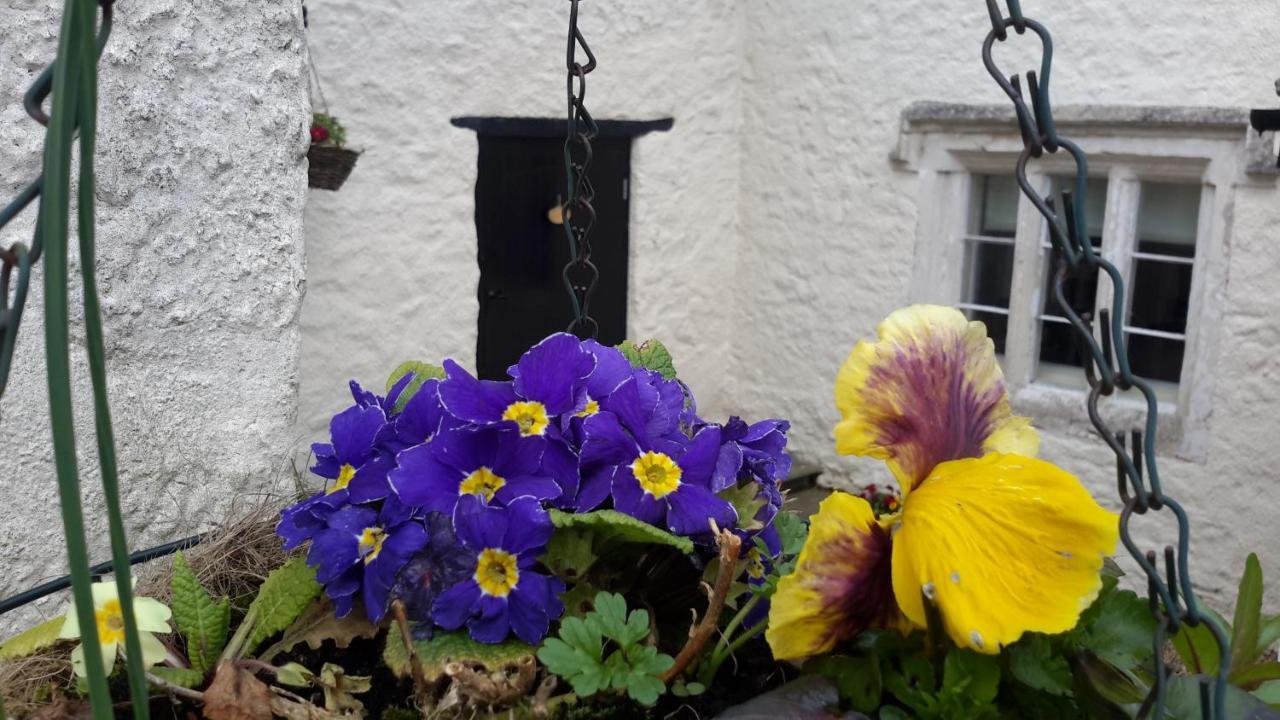 Bed and Breakfast Rose Farm Honiton Exteriér fotografie