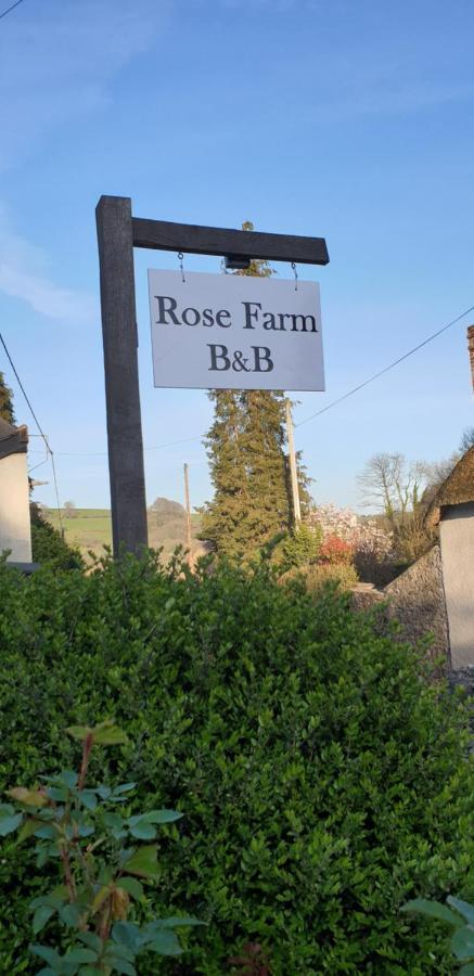 Bed and Breakfast Rose Farm Honiton Exteriér fotografie