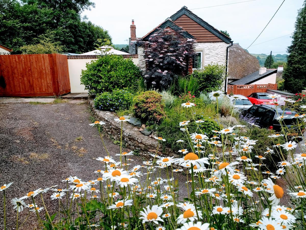 Bed and Breakfast Rose Farm Honiton Exteriér fotografie
