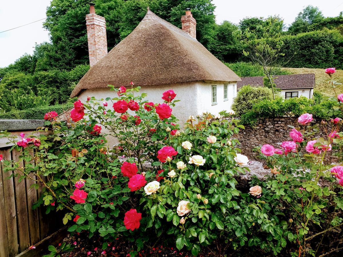 Bed and Breakfast Rose Farm Honiton Exteriér fotografie